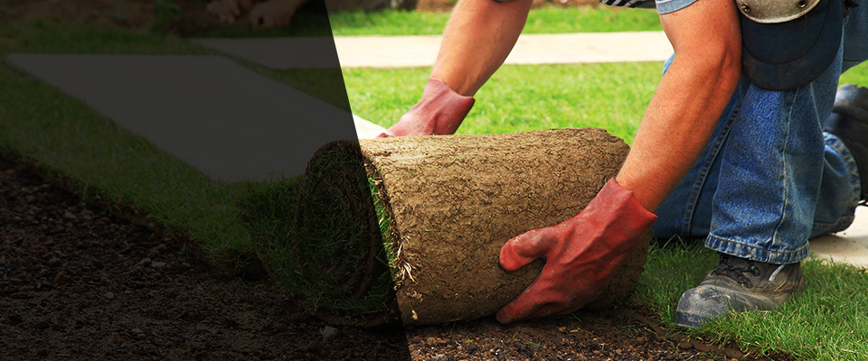 Campbellsport Landscapers